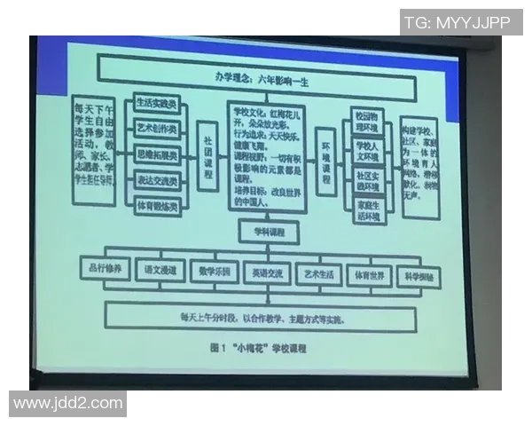 上海攀岩队比赛经验分析与表现评估的深度研究与探讨