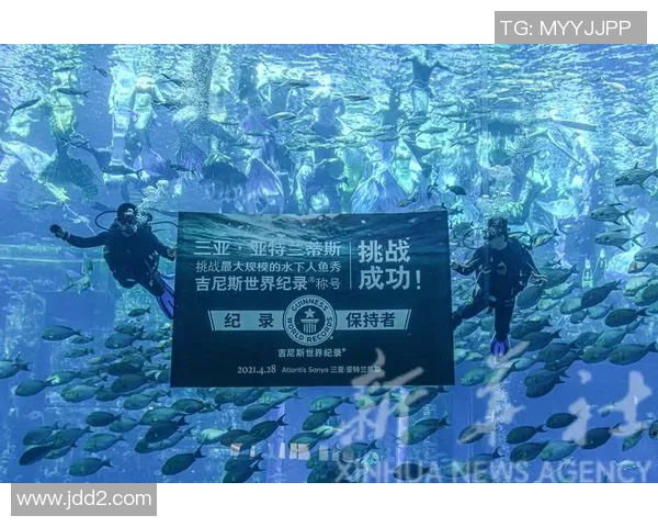 深度探讨吴秀英在DOTA2世界中的成长与挑战之旅 深度探讨吴秀英在DOTA2世界中的成长与挑战之旅